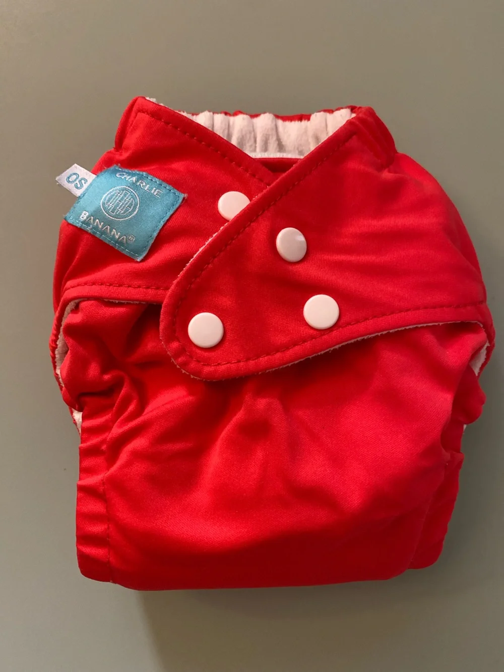 Lot of Cloth Diapers & Inserts
